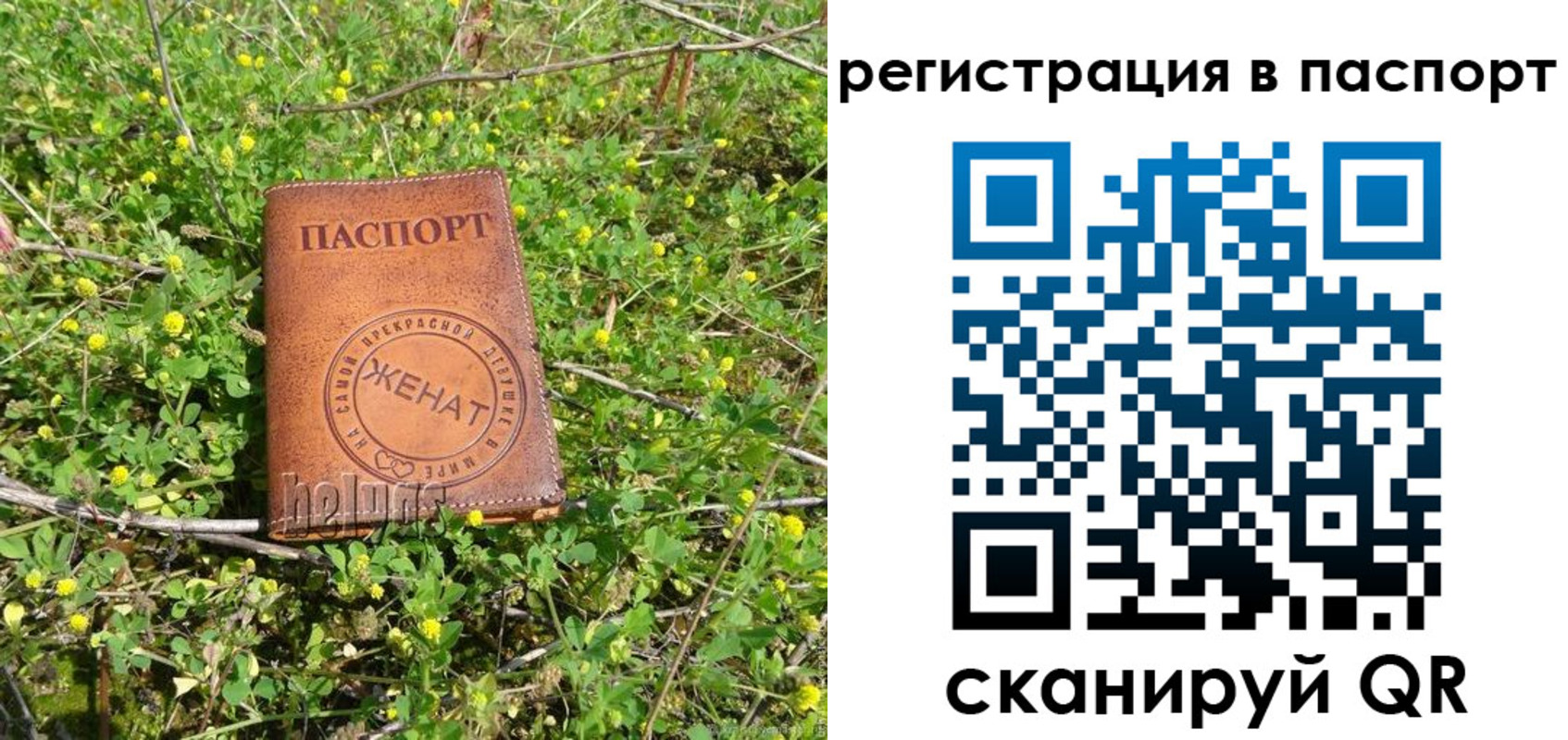 прописка законно в Выборге